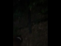 I’m being me wile walking my pups outdoors