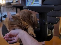 Playing with a Beloved .... 