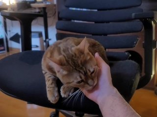 Playing with a Beloved Pussy .... 