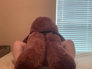 BBW getting pounded by stuffed animal