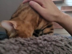 Sunday morning starts with being woken up by a cute little kitty ... . Normally cool, she is a sweet