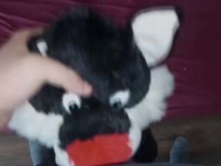 I love fuck this plush little kitty Fun#3