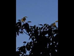 Порно видео смотреть онлайн бесплатно жаркая киска крупным планом смотреть бесплатно - Screenshot 10 of 16 - Femdom