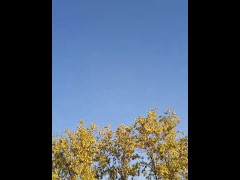 Порно видео смотреть онлайн бесплатно жаркая киска крупным планом смотреть бесплатно - Screenshot 3 of 16 - Japanese Uncensored