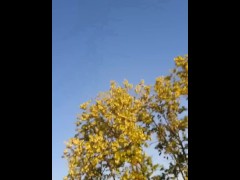 Порно видео смотреть онлайн бесплатно жаркая киска крупным планом смотреть бесплатно - Screenshot 4 of 16 - Amateur Threesome