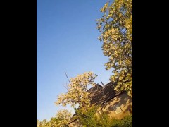 Порно видео смотреть онлайн бесплатно жаркая киска крупным планом смотреть бесплатно - Screenshot 5 of 16 - Femdom