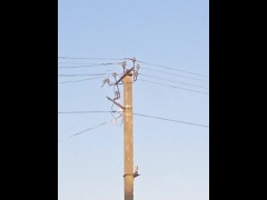 Порно видео смотреть онлайн бесплатно жаркая киска крупным планом смотреть бесплатно - Screenshot 8 of 16 - Japanese Uncensored