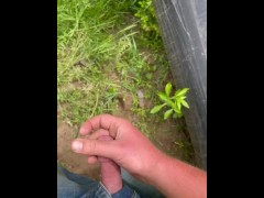 Jerkin in the wild