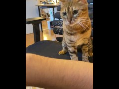 (Vertical Video) Filming  at home. 
