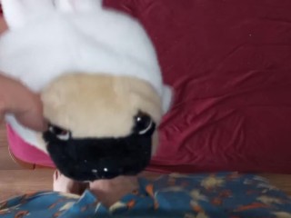 Собака в костюме кролика Fun#3