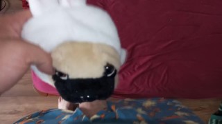 Dog dressed as a bunny Fun#3