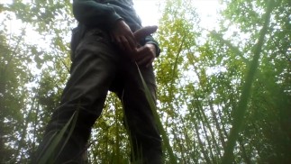 Я мастурбирую свой член на улице в кустах и кончаю.
