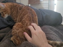 bed gets dirty. - Screenshot 1 of 16 - Henry Price Win