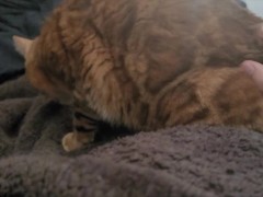 bed gets dirty. - Screenshot 6 of 16 - Artem
