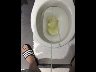 Toilet piss