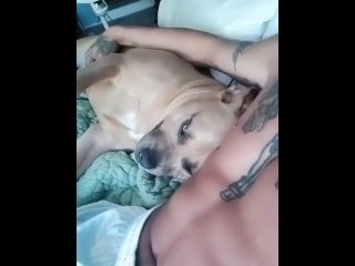 cumshot, hanging with my dog, vertical video, celebrity