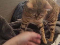 Pussy who spoils you in the morning .... She heals you with a massage.