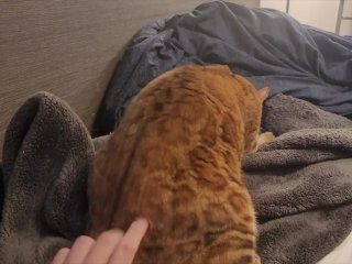 Pussy who spoils you in the morning .... She heals you with a massage.