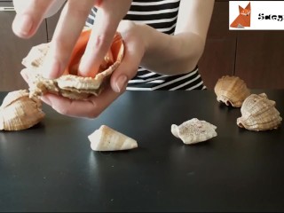 АСМР Ракушки Часть 2