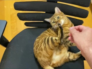 Stylish Blonde Pussy Excited to get a Massage. 