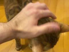 Daily life with a lovely kitten .... Do you want to play too?