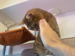 The best place to play with Pussy ... It's always exciting to play in unusual places!