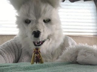 Furry Wolf Vores Lopunny