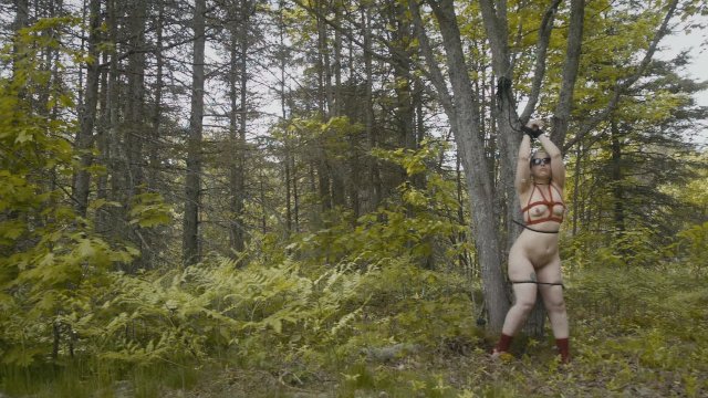 Watch Bondage Video:Submissive Slut Tied To A Tree - Tormented Until I Scream