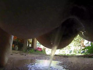 girls peeing, outside pissing, big ass, pissing outdoor