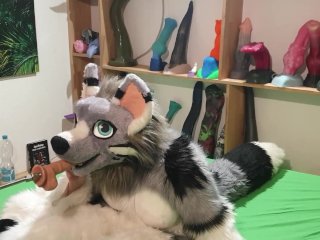 exclusive, toys, furry, murrsuit