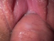 Preview 3 of Close up fuck teen stepsister, amazing creamy pussy