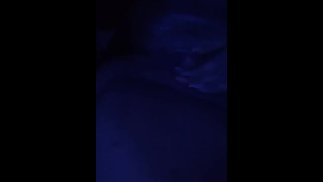 FAT WETT 猫玩