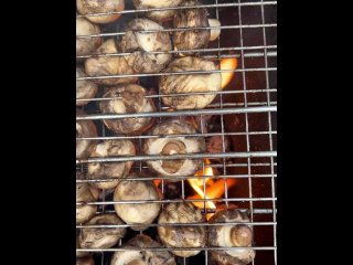 Public blowjob on the public beach sex in a tent - Darcy Dark