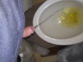 solo male, pee, toilet, soft cock