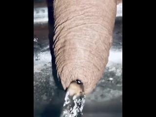 Лучшая мочиться в домашнюю раковину