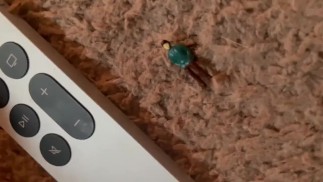 Сравнение размеров - Богиня Великанша Показывает вам, как мало Она уменьшила вас!!