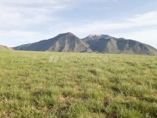 bathroom, reddit, sfw, field