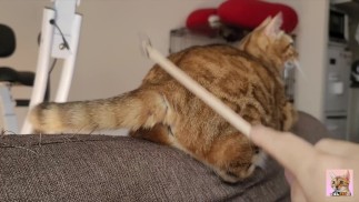 Аккуратная и невинная киска.... Ее организм реагирует честно.