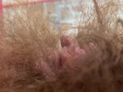 Preview 6 of Big clit Hairy pussy Extreme closeup pov