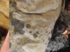 FUCVph3 Sofia Valentine "Fur Coat" 2022 just the cumshot