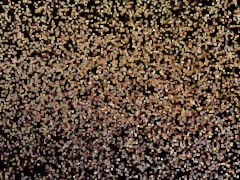 SHORT VOYEUR CAM📹 CLIP~ SEXY GIRL💃 SHAVING🪒LEGS🦵ARMPITS🙋‍♀️PUSSY🐱 IN BATHROOM SINK