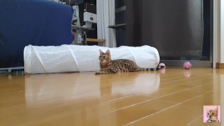 Эта энергичная латиноамериканка также увлечена