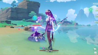 Rosaria - ryona + ragdoll - English/ Japanese リョナ/ Korean 료나 / Chinese 良娜 all languages