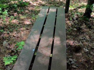 Redhead's Ass Gets Covered WithHiker's Cum-Leaves Evidence On Public_Bench