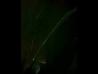 Desperate pissing in garage 