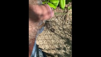 Вблизи маленький член публично мочится