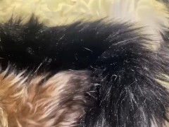 Multiple Furs Attack - Screenshot 11 of 16 - Fur