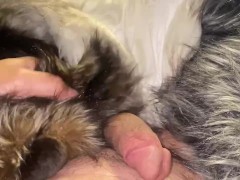 Multiple Furs Attack - Screenshot 3 of 16 - Male Masturbation