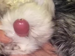 Multiple Furs Attack - Screenshot 7 of 16 - Fur Coat