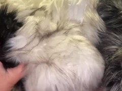 Multiple Furs Attack - Screenshot 8 of 16 - Male Masturbation